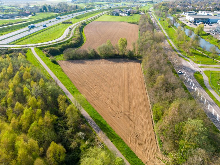 Roermond wil geen nieuw onderzoek naar dassen Wirosingel