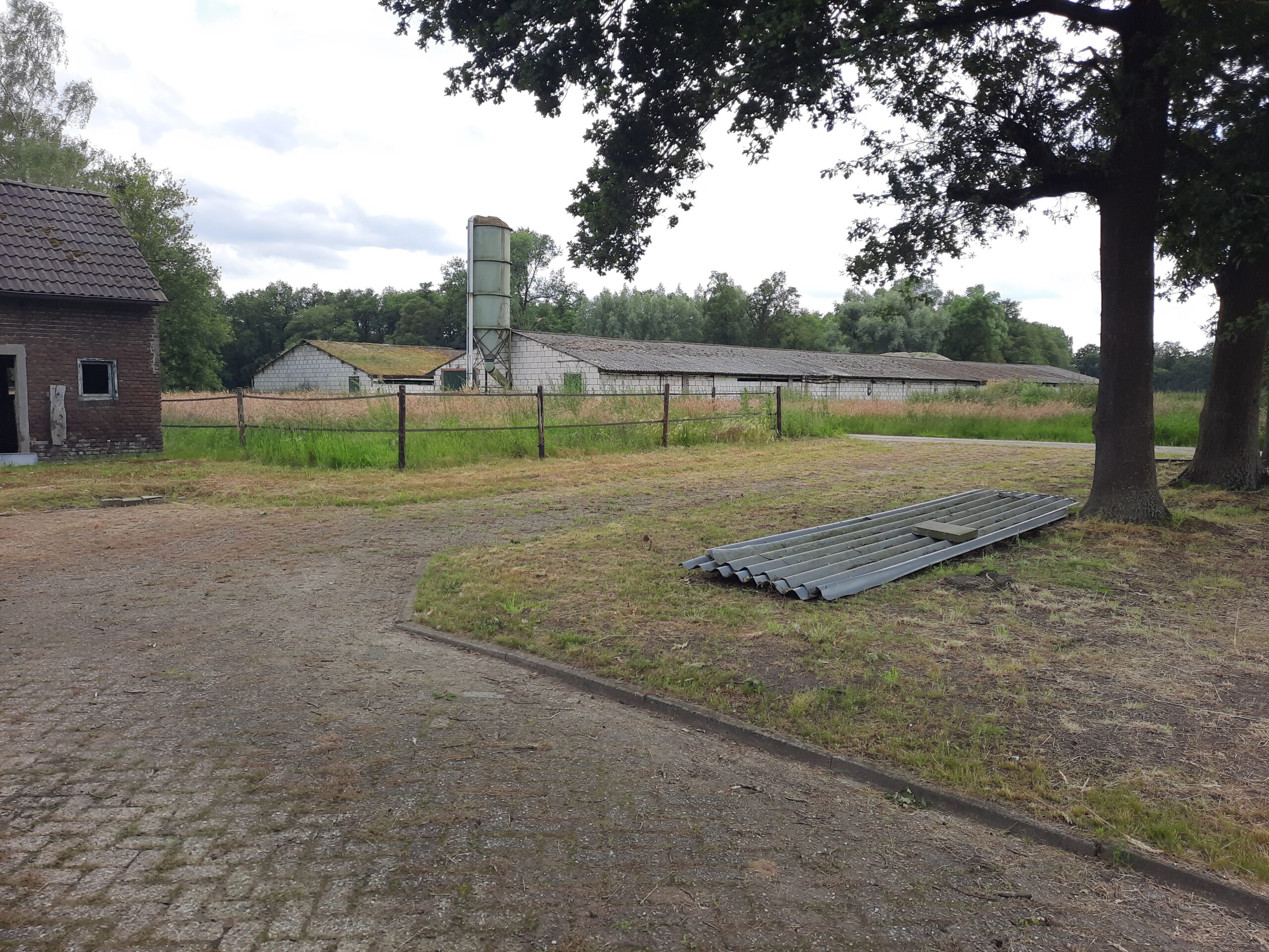 Kelpen-Oler krijgt er bijna 40.000 kippen bij