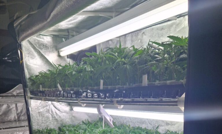 Woning in Baexem zes maanden dicht na vondst drugs