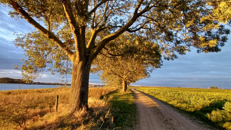 Vrij droog weekend in Midden-Limburg, zondag kans op wat regen