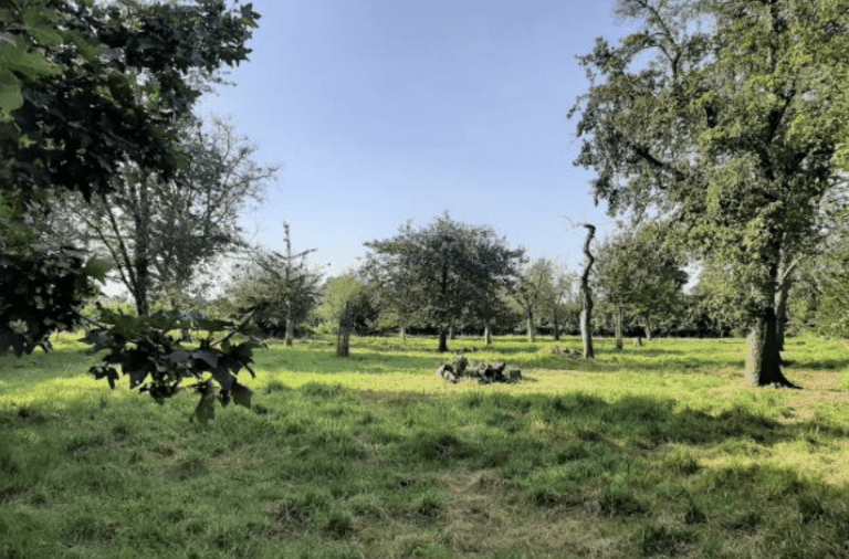 Weg vrij voor landgoed De Bongerd, agrariër uit Echt vangt bot bij Raad van State