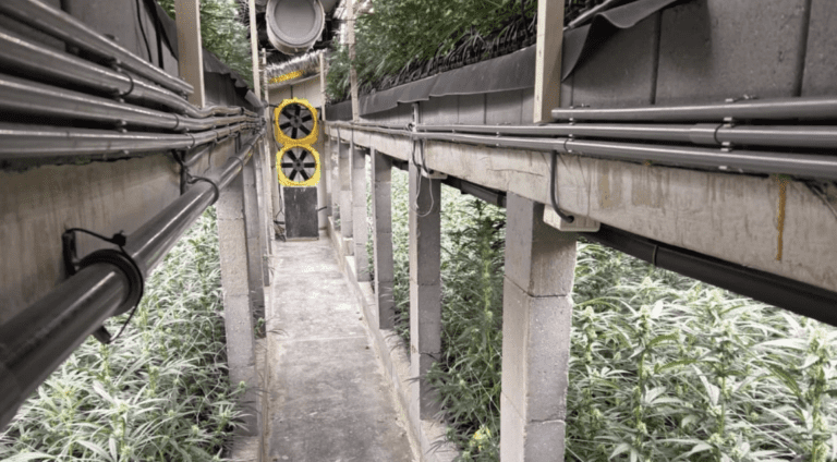 Drugspand Koningsbosch gesloten