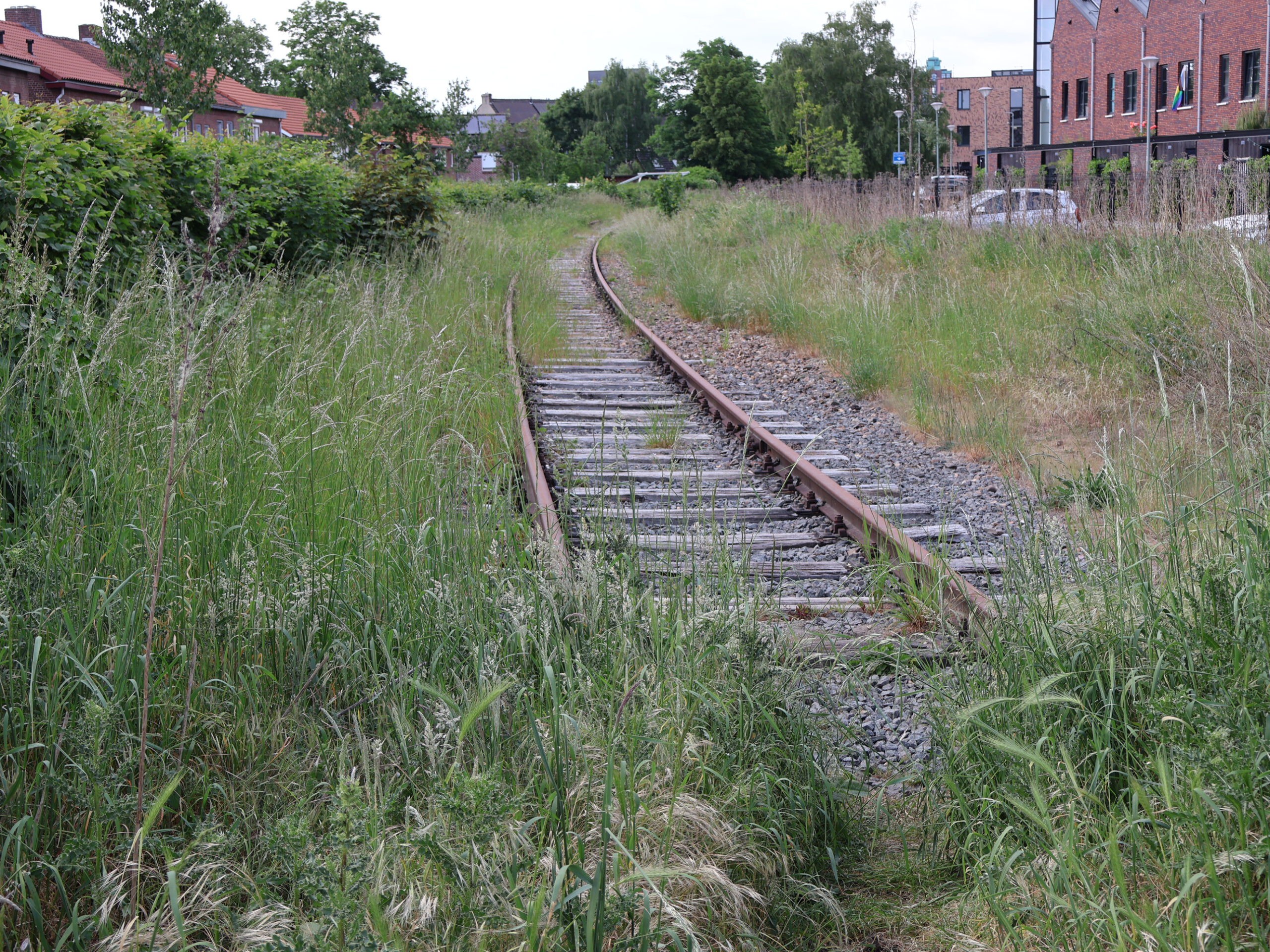 IJzeren Rijn en trein naar België hoger op politieke agenda