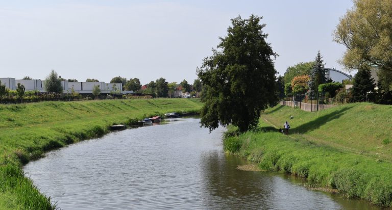 Vrijdagavond nog kans op buien, daarna droog en aangenaam weekend