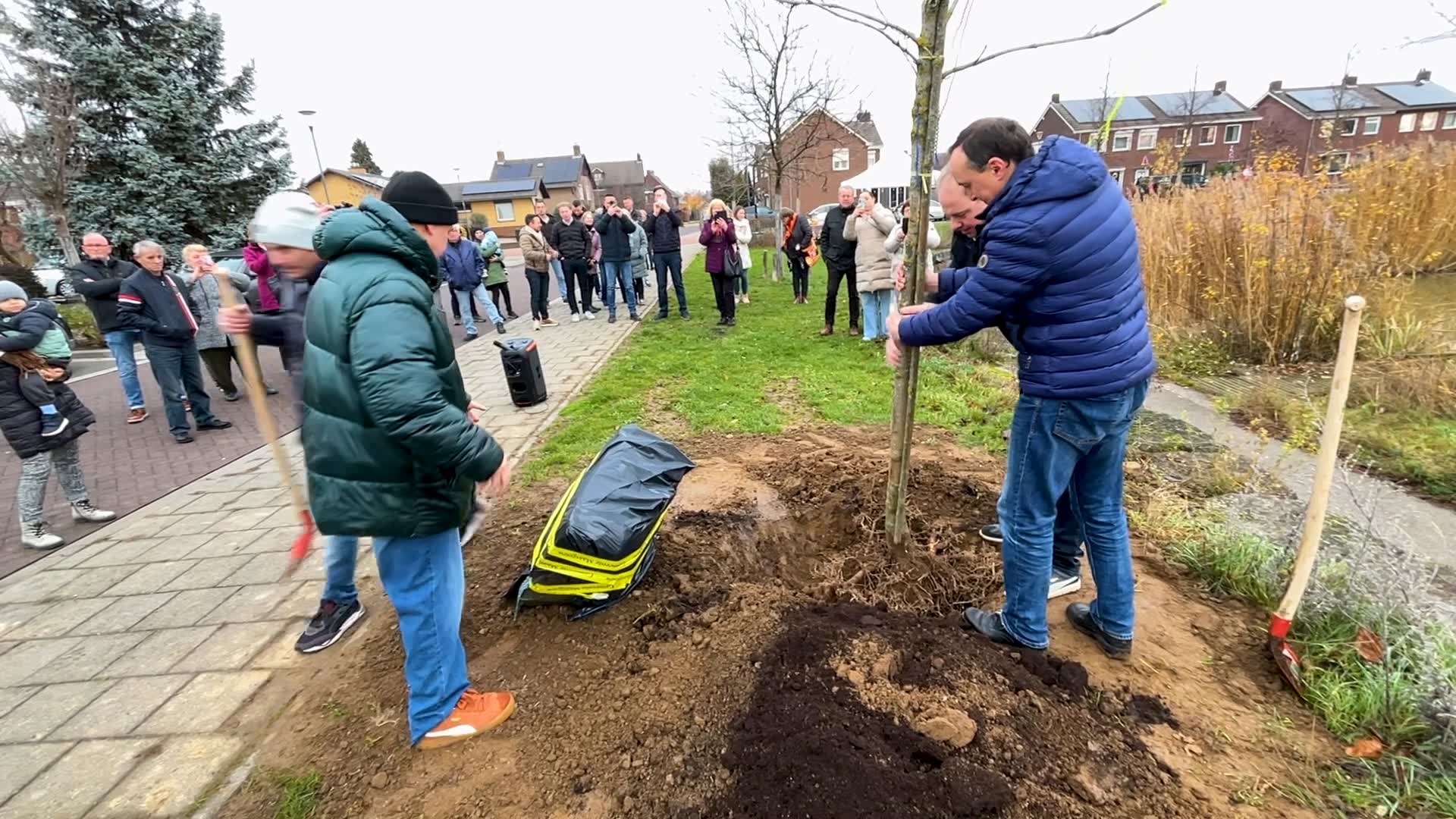 Oekraïense vluchtelingen planten als dank kastanjeboom in Maasbracht: ‘Geweldig cadeau’
