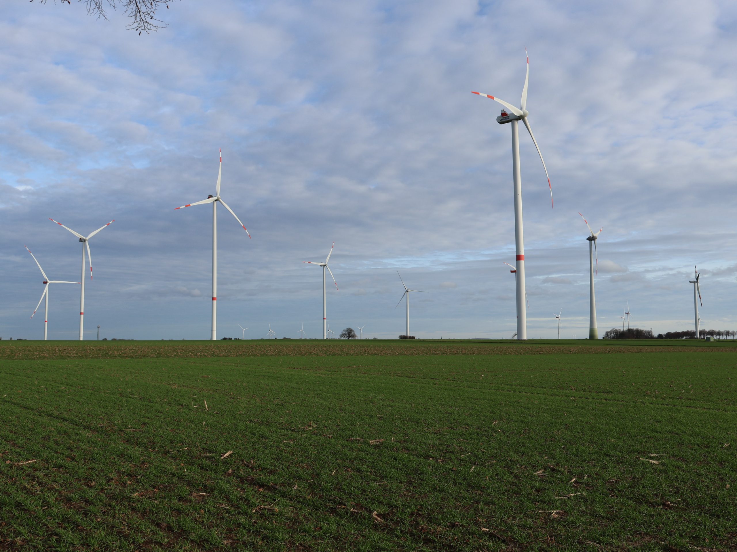 Nieuwe windparken Duitse grensregio dichterbij, protest neemt toe