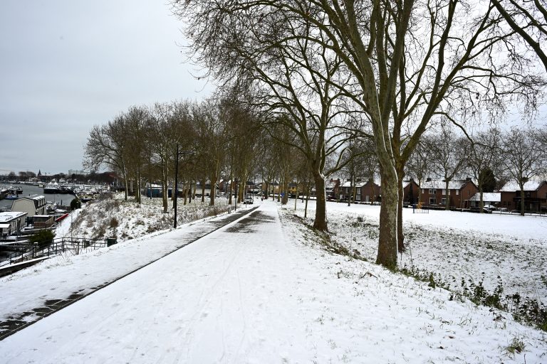 Dik pak sneeuw: overlast valt mee en het is ook gewoon winterpret