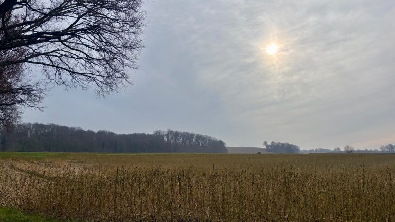 Zachte start van de week, daarna lichte neerslag en voorzichtig oplopende temperaturen