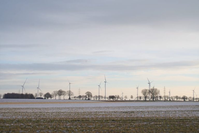Diverse windturbines nabij Koningsbosch staan langdurig stil