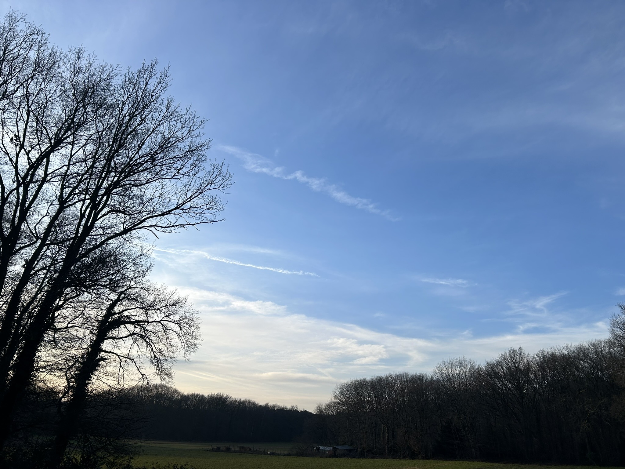 Zonnige en uitzonderlijk zachte week voor de boeg in Midden-Limburg