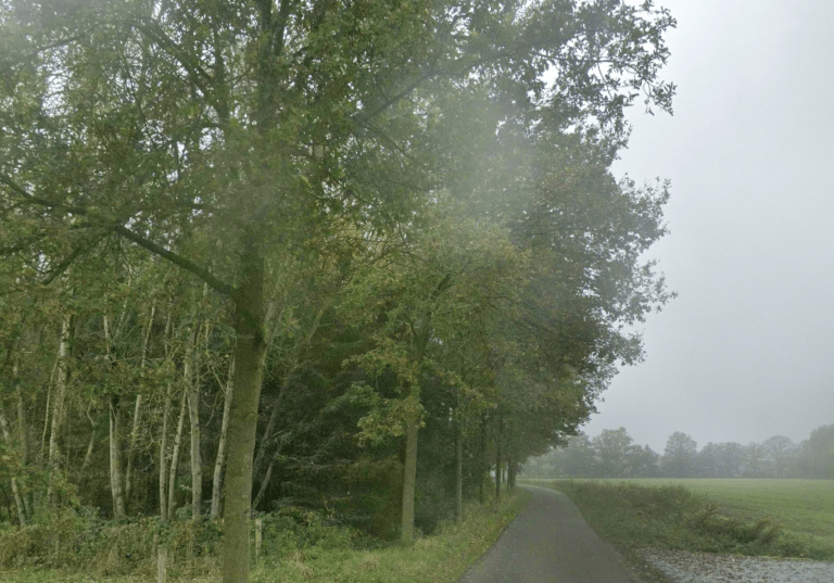 Vergeefse zoektocht politie naar drugslab bij bossen Heythuysen