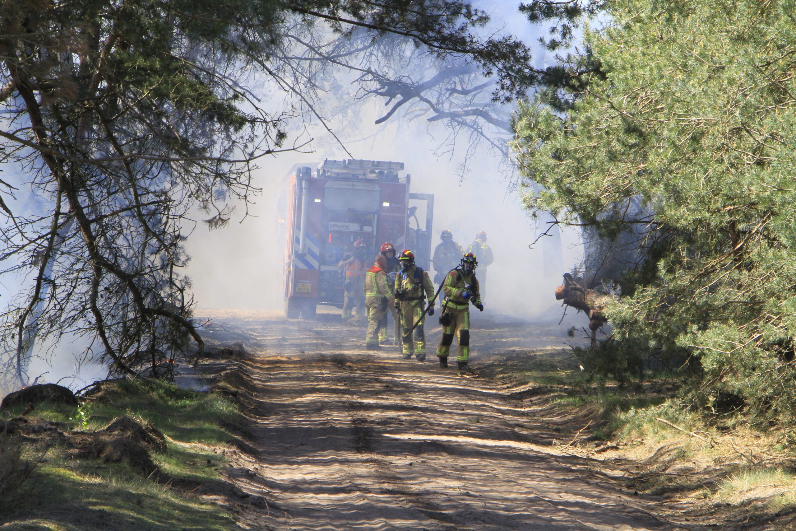 LIVE: Zeer grote natuurbrand op militair oefenterrein Weert • Rook richting Brabant en België