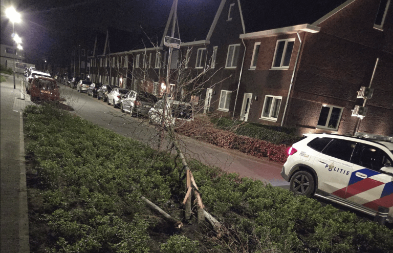 Politie haalt dronken bestuurder uit auto na aanrijding met bomen in Linne