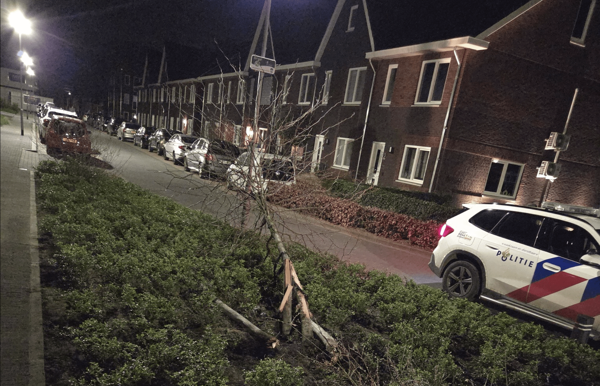 Politie haalt dronken bestuurder uit auto na aanrijding met bomen in Linne