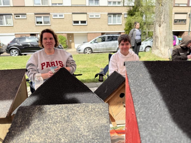 Finn verkoopt zelfgemaakte vogelhuisjes op braderie aan de Donderbergweg