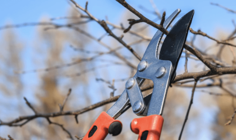 Echt-Susteren: stop met uiteen halen takkenhopen voor kachelhout