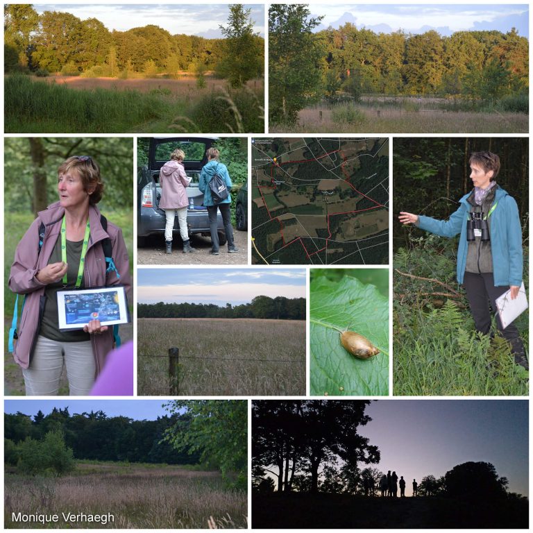 Weekendagenda: wandelen, kunst en cultuur