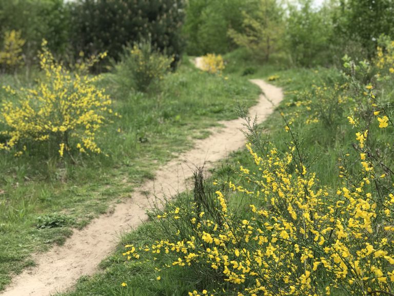 Midden-Limburgse raadsleden getest op kennis natuurgebieden