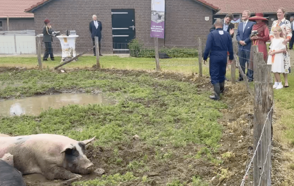 Koninklijk paar bijgepraat over Livar varkens