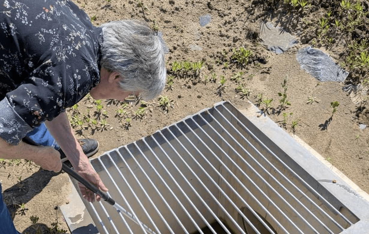 Nieuw ecologisch onderzoek in Melickerveld na vondst dode rugstreeppadden