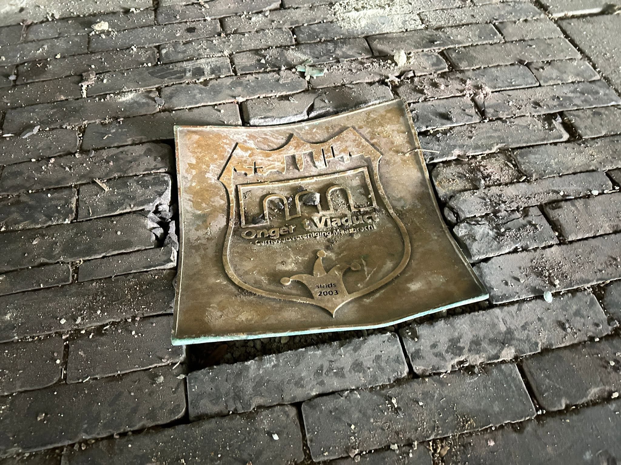 Plaquette van vastelaovesvereniging Maasbracht toegetakeld: ‘Triest’