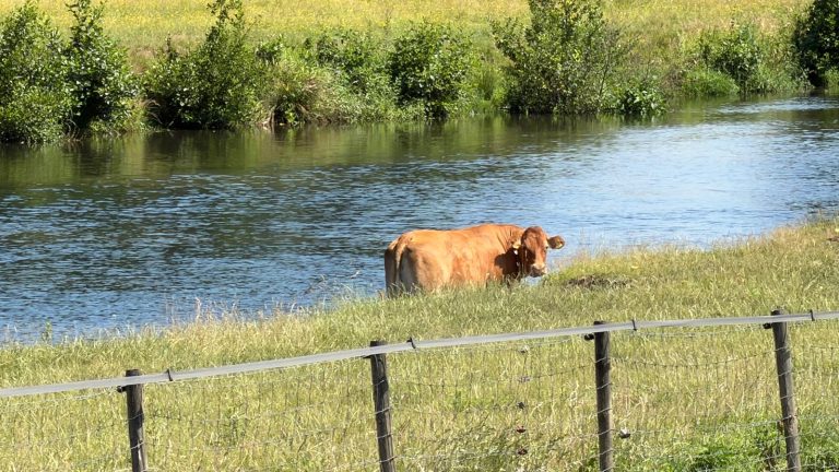 Zomers weekend in Midden-Limburg, alleen zondag koelt het wat af