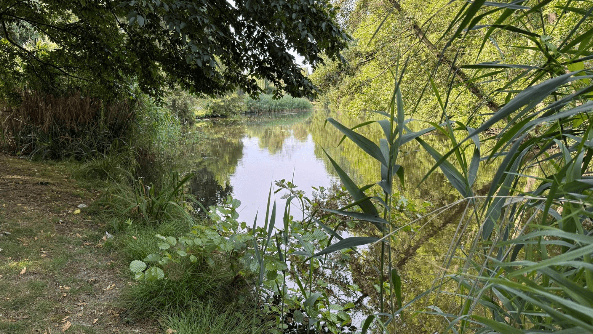 Roermond waarschuwt voor water bij Maasnielderbeek: ‘Vermijd direct contact’