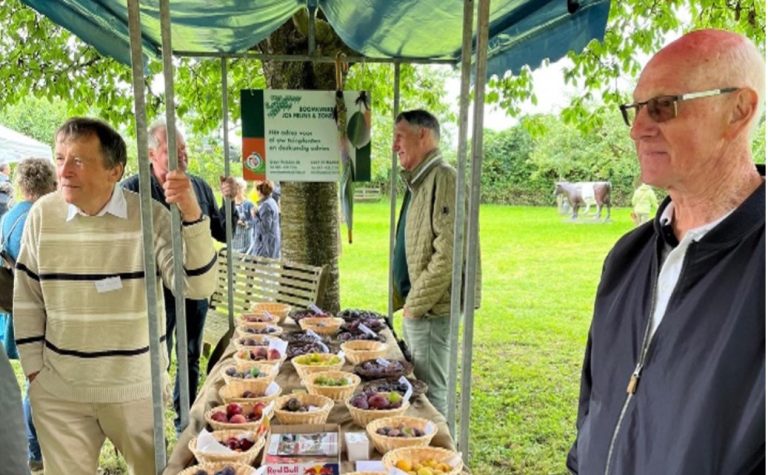 Weekendagenda: van Weerter jaarmarkt tot pruimendag in Ohé en Laak