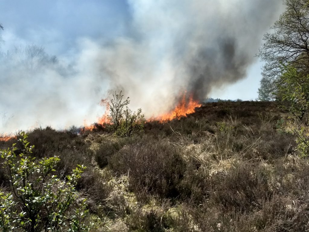 Oproep: Rook niet in natuurgebied!