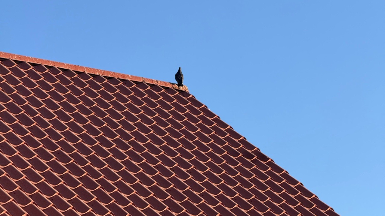 Wel betaald, nauwelijks gewerkt: klanten gedupeerd door dakdekker uit Swalmen