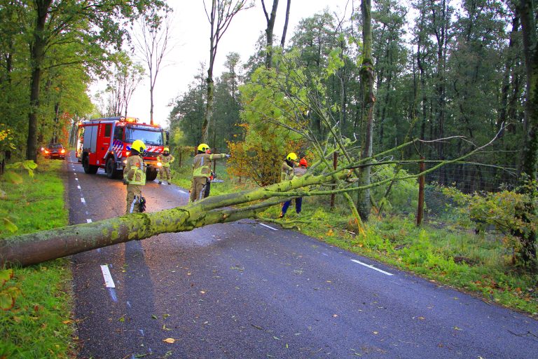 Storm Boelo waait boom omver, weg in Altweerterheide voor even geblokkeerd