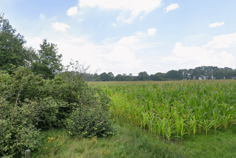 Weert staat positief tegenover plannen voor nieuwe natuurbegraafplaats