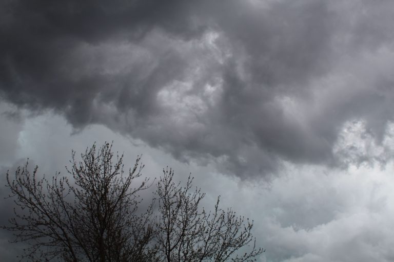 Storm Austen raast vrijdagavond met zware windstoten over Limburg, code geel